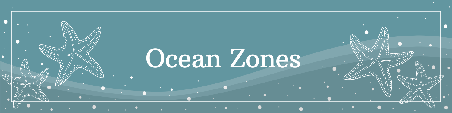 Unit 10: Ocean Zones Banner